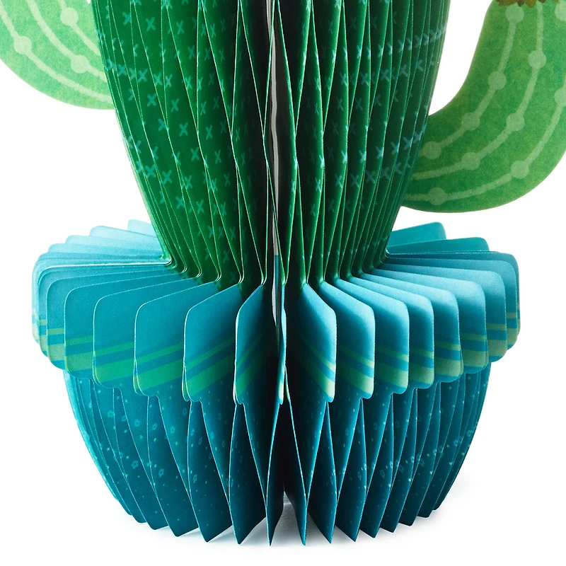All Sun, All Fun Flowering Cactus Honeycomb 3D Pop-Up Card for only USD 6.99 | Hallmark