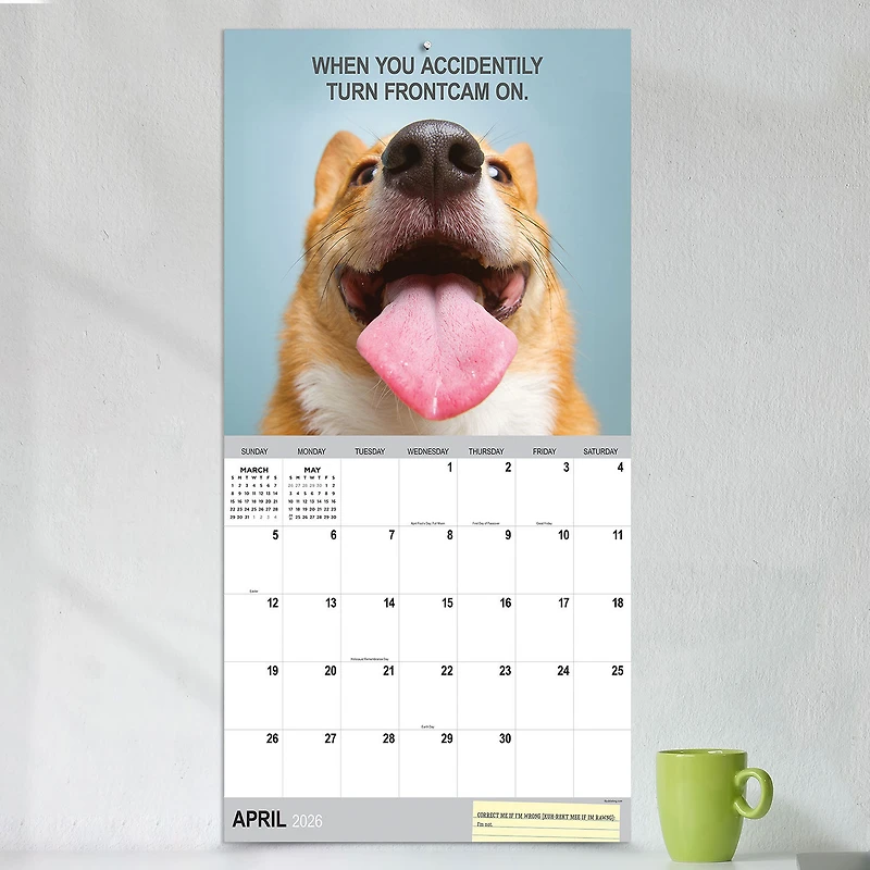 Time Factory Desk Dogs Funny 2026 Wall Calendar for only USD 16.99 | Hallmark