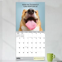 Time Factory Desk Dogs Funny 2026 Wall Calendar for only USD 16.99 | Hallmark