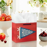 7.7" Hooray Pennant Medium Horizontal Gift Bag for only USD 3.49 | Hallmark