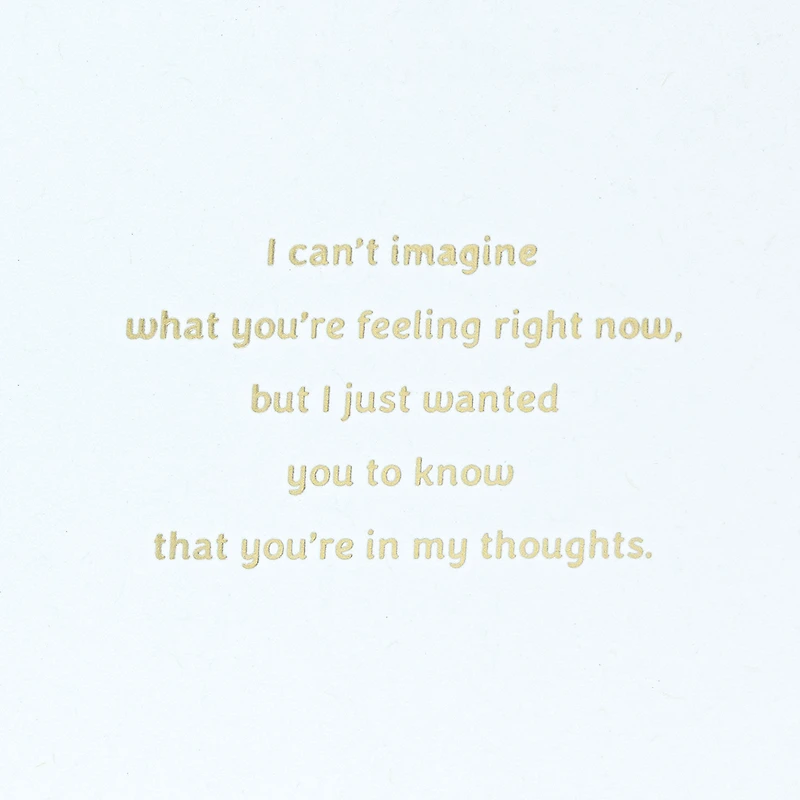 I'm So, So Sorry Sympathy Card for only USD 4.59 | Hallmark