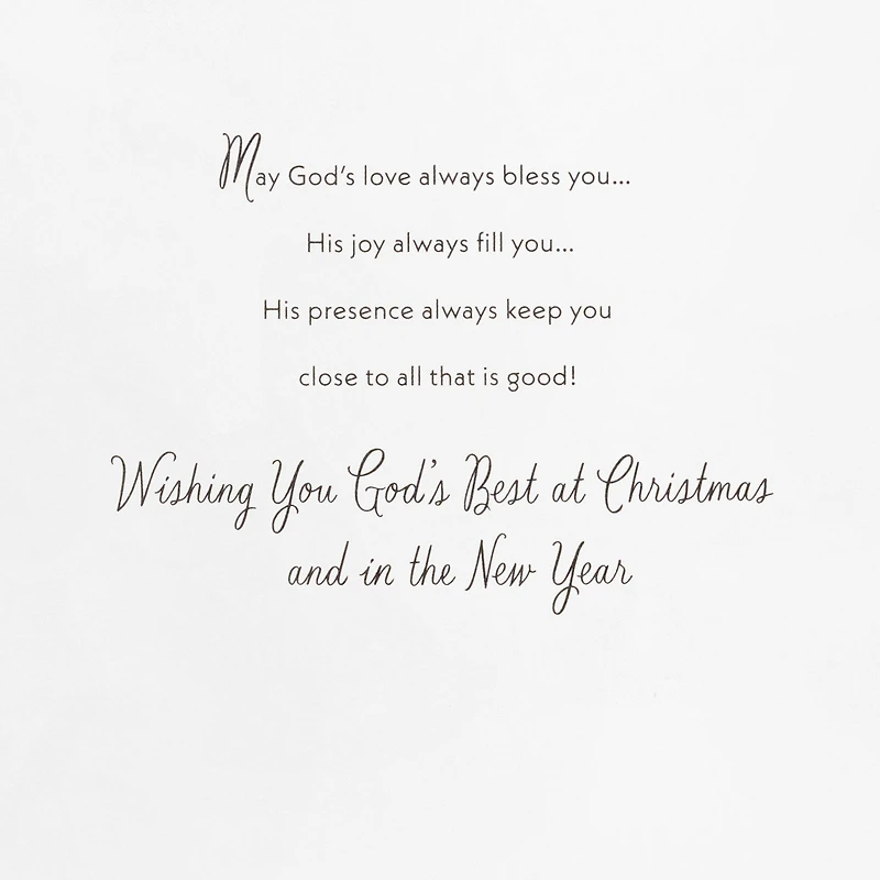 DaySpring Wintry Night With Cardinals and Church Boxed Christmas Cards, Pack of 16 for only USD 12.49 | Hallmark