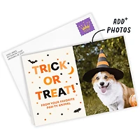 Trick or Treat Paw-ty Animal Custom Halloween Card for only USD 4.99 | Hallmark
