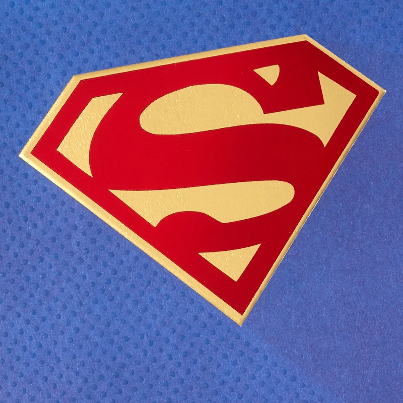 DC™ Superman™ You Always Come Through Friendship Card for only USD 4.59 | Hallmark
