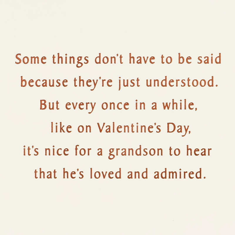 Loved and Admired Valentine's Day Card for Grandson for only USD 3.59 | Hallmark