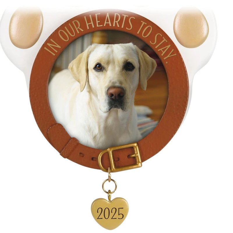 In Our Hearts to Stay 2025 Photo Frame Ornament for only USD 24.99 | Hallmark