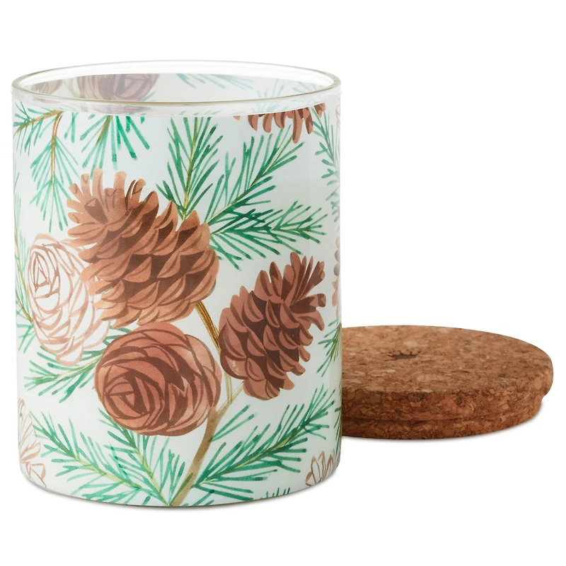 Pine and Birch Scented 2-Wick Jar Candle, 14.5 oz. for only USD 19.99 | Hallmark