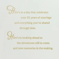 Here's to You Two and a Lifetime of Love 25th Anniversary Card for only USD 7.59 | Hallmark
