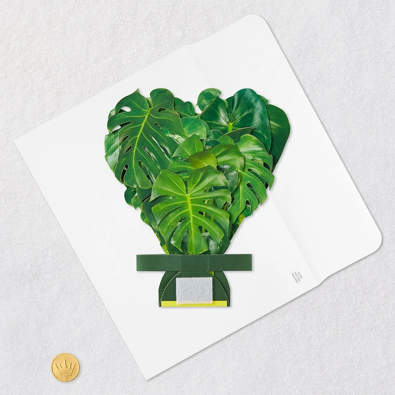 Build-a-Bouquet Monstera Pop-Up Paper Plant for only USD 9.99 | Hallmark