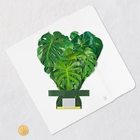 Build-a-Bouquet Monstera Pop-Up Paper Plant for only USD 9.99 | Hallmark