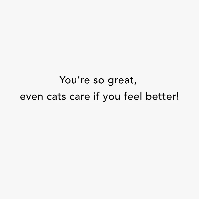 Even Cats Care Funny Get Well Card for only USD 3.99 | Hallmark