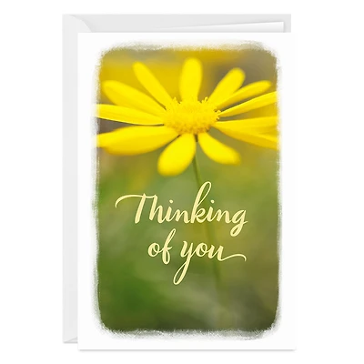 Have a Good Day Thinking of You Photo Card for only USD 4.99 | Hallmark