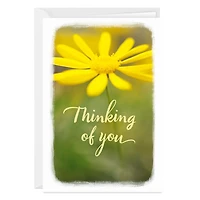 Have a Good Day Thinking of You Photo Card for only USD 4.99 | Hallmark