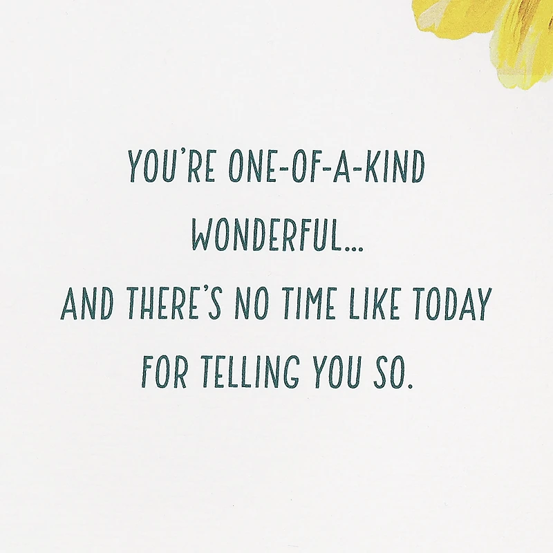 You’re One-of-a-Kind Wonderful Birthday Card for only USD 5.59 | Hallmark