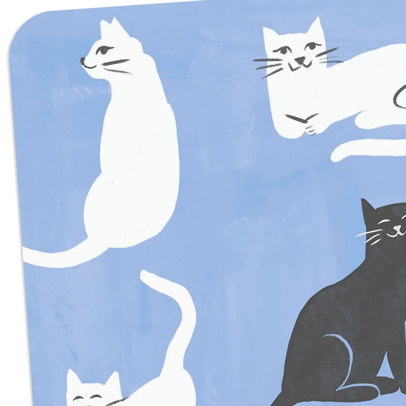 Black and White Cats Blank Card for only USD 2.99 | Hallmark