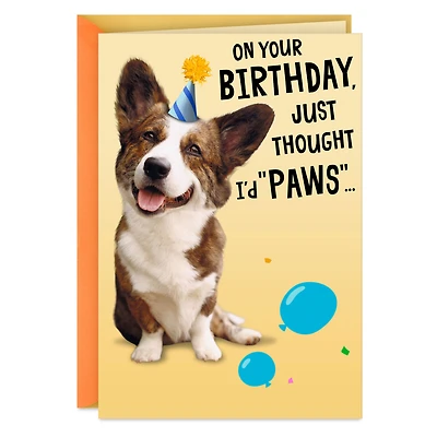 Wishing You a Treat-Filled Celebration Funny Birthday Card for only USD 4.59 | Hallmark