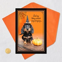 Teeny Wienie Halloween Card for only USD 0.99 | Hallmark