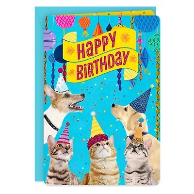 16" Party Cats and Dogs Jumbo Birthday Card From All for only USD 12.99 | Hallmark