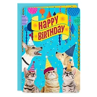 16" Party Cats and Dogs Jumbo Birthday Card From All for only USD 12.99 | Hallmark