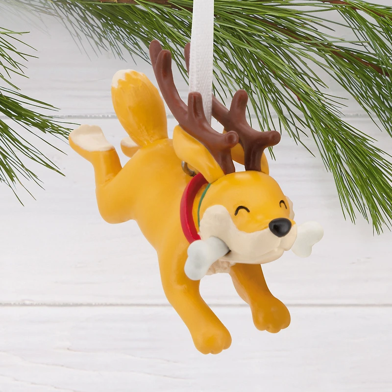 Reindeer Dog With Bone Hallmark Ornament for only USD 14.99 | Hallmark