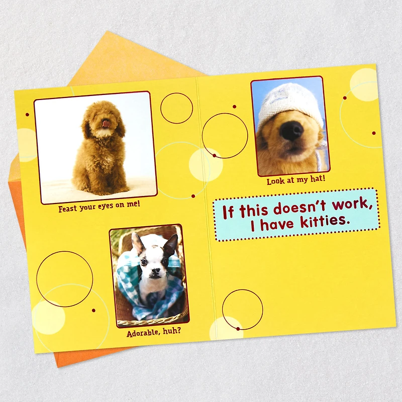 Puppy Pics to Help Forget Getting Older Birthday Card for only USD 4.99 | Hallmark