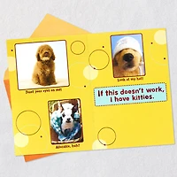 Puppy Pics to Help Forget Getting Older Birthday Card for only USD 4.99 | Hallmark