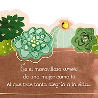 Succulent Plants Spanish-Language Mother's Day Card for Grandma for only USD 4.99 | Hallmark