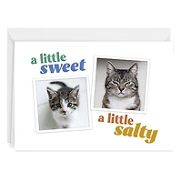 Sweet and Salty Funny Custom Card for only USD 4.99 | Hallmark