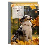 Thankful Through All Seasons Thanksgiving Card for only USD 2.99 | Hallmark