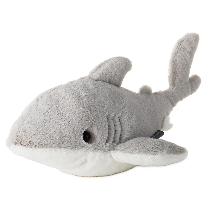Gray Shark Plush, 13" L for only USD 18.99 | Hallmark