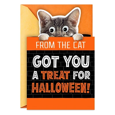 Mice Treats Funny Halloween Card from Cat for only USD 2.99 | Hallmark