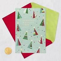 A Reason to Celebrate Christmas Birthday Card for only USD 3.59 | Hallmark