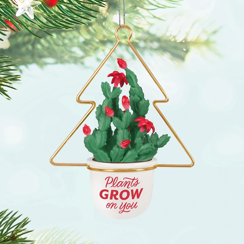 Plants Grow on You Ornament for only USD 24.99 | Hallmark
