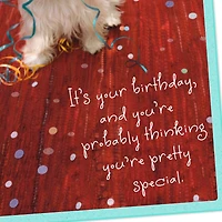 You're Pretty Special Birthday Card for only USD 0.99 | Hallmark