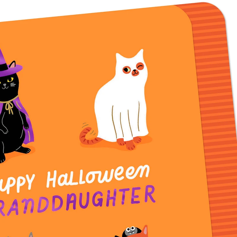 A Purr-fect Day Halloween Card for Granddaughter for only USD 3.99 | Hallmark