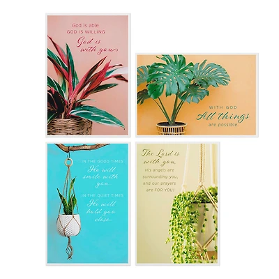 Simple Plants Assorted Religious Encouragement Cards, Box of 12 for only USD 8.99 | Hallmark