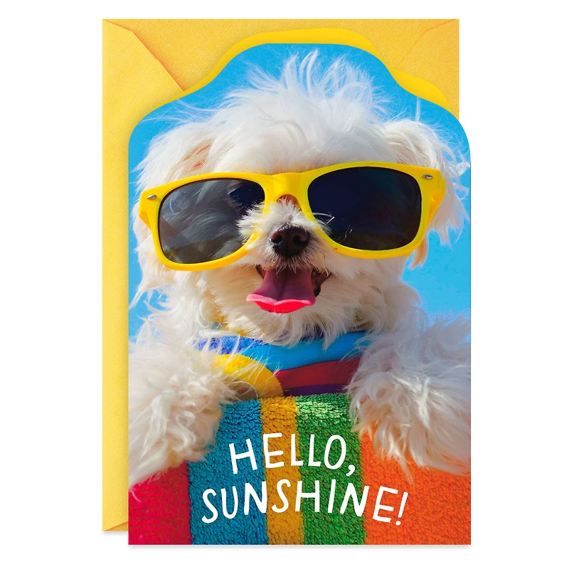 Dog in Sunglasses Hello Card for only USD 0.99 | Hallmark