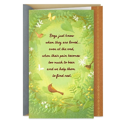 They Know When They're Loved Sympathy Card for Loss of Dog for only USD 4.59 | Hallmark