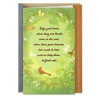They Know When They're Loved Sympathy Card for Loss of Dog for only USD 4.59 | Hallmark