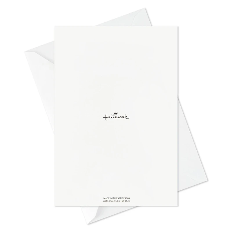 Sweet Holiday Illustrations Assorted Christmas Cards, Pack of 12 for only USD 8.99 | Hallmark