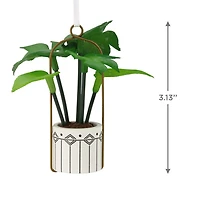 Hanging Houseplant Hallmark Ornament for only USD 14.99 | Hallmark