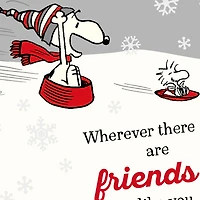 Peanuts® Snoopy Friends Like You Christmas for only USD 2.99 | Hallmark