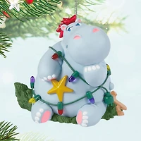 I Want a Hippopotamus for Christmas Musical Ornament for only USD 25.99 | Hallmark