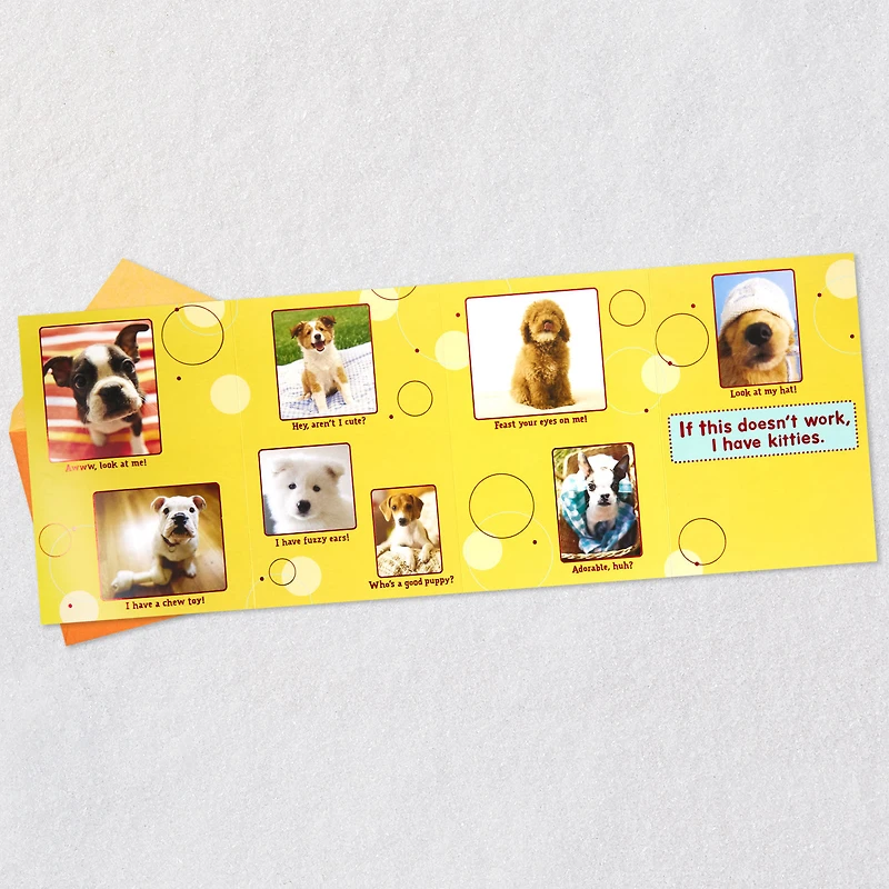 Puppy Pics to Help Forget Getting Older Birthday Card for only USD 4.99 | Hallmark
