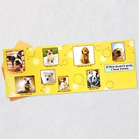 Puppy Pics to Help Forget Getting Older Birthday Card for only USD 4.99 | Hallmark