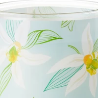 Salted Vanilla and Sandalwood Scented 2-Wick Jar Candle, 14.5 oz. for only USD 19.99 | Hallmark