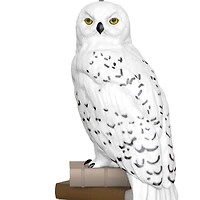 Mini Harry Potter™ Hedwig™ Ornament, 1" for only USD 13.99 | Hallmark