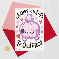 Hugging Opossum Spanish-Language Funny Pop-Up Valentine's Day Card for only USD 3.99 | Hallmark