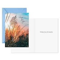 Tranquil Nature Sympathy Cards, Pack of 10 for only USD 7.99 | Hallmark