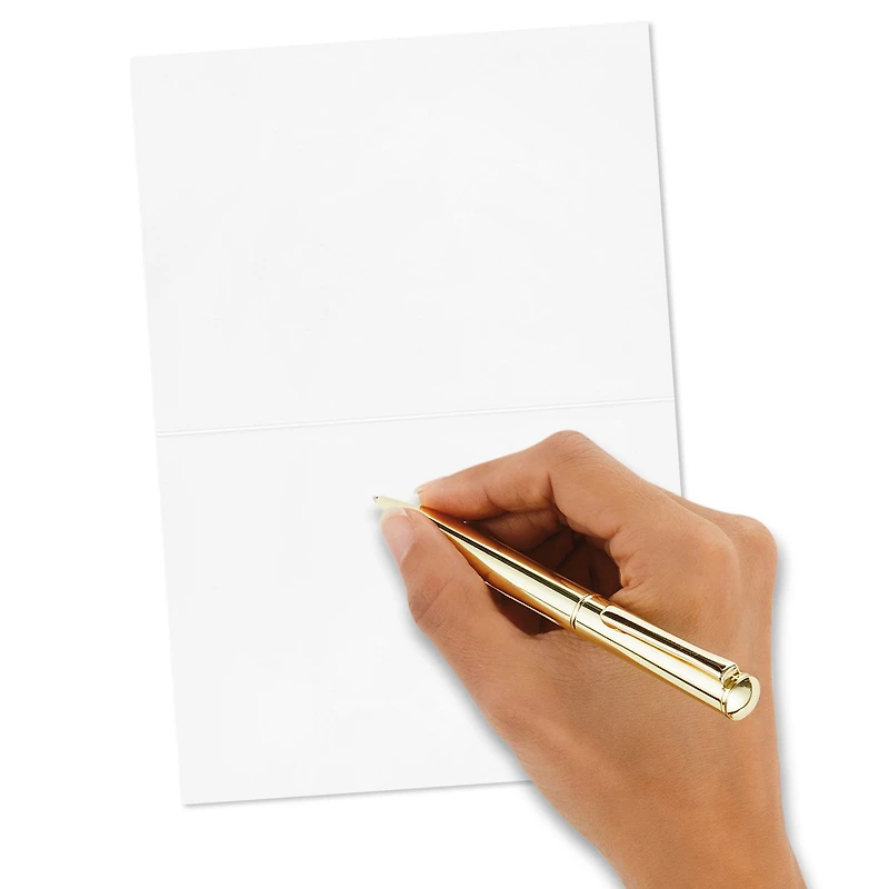 Cardinals in Snow Blank Thank-You Cards, Pack of 20 for only USD 10.99 | Hallmark